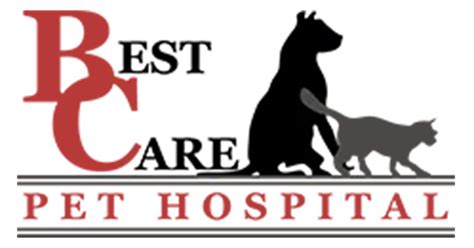 Best care pet hospital - Mar 14, 2024 · Welcome to ABQ Petcare Hospital. FAMILY CARE FOR FAMILY PETS. ABQ PetCare hospital opened its doors in September 2009. We are a fast-growing clinic that provides the highest standard of care for your pets. We look forward to taking care of your family members, whether furred, feathered, or scaled! Vaccinations. Dental.